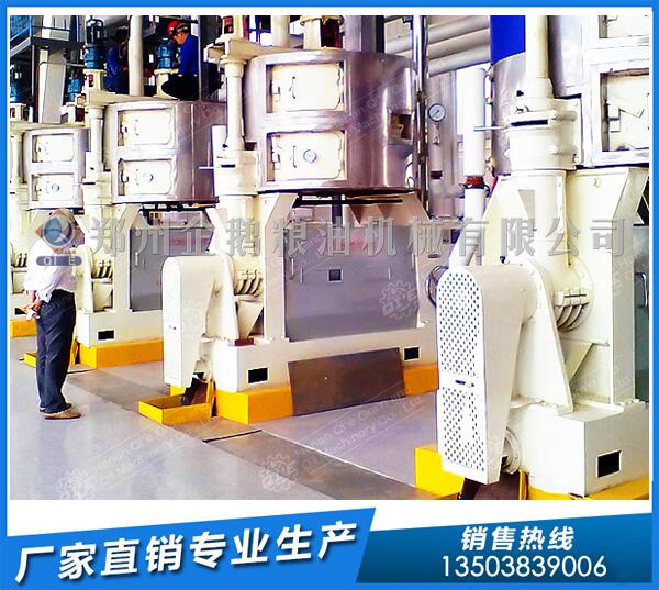 湖南茶籽榨油機生產(chǎn)線,鄭州企鵝全力護航(圖1) 茶籽榨油生產(chǎn)線
